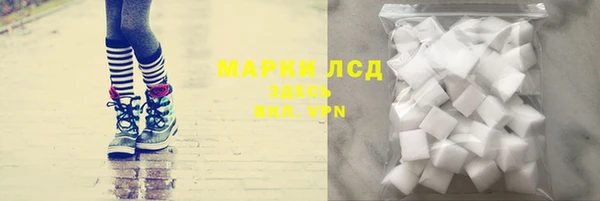 стаф Беломорск