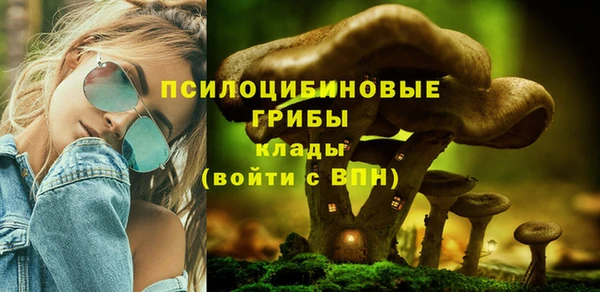спайс Белокуриха
