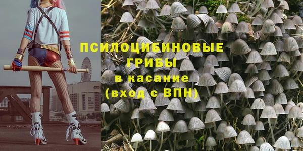 спайс Белокуриха