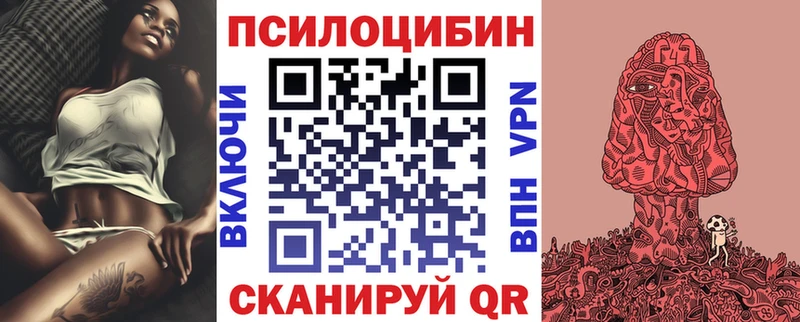 Купить где  Петушки  Псилоцибиновые грибы прущие грибы 